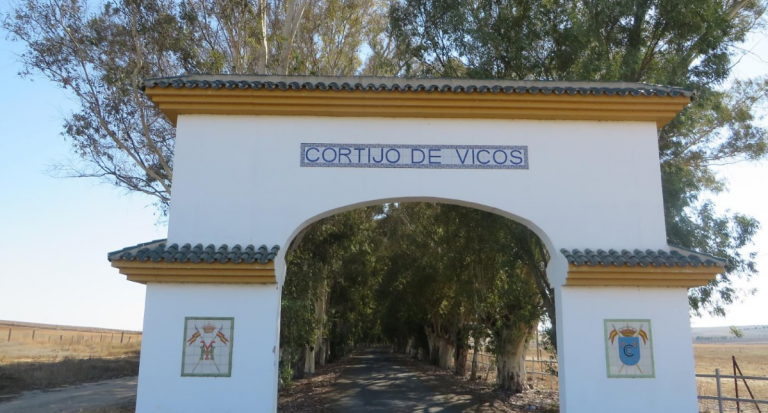 Jerez TV cortijo vicos