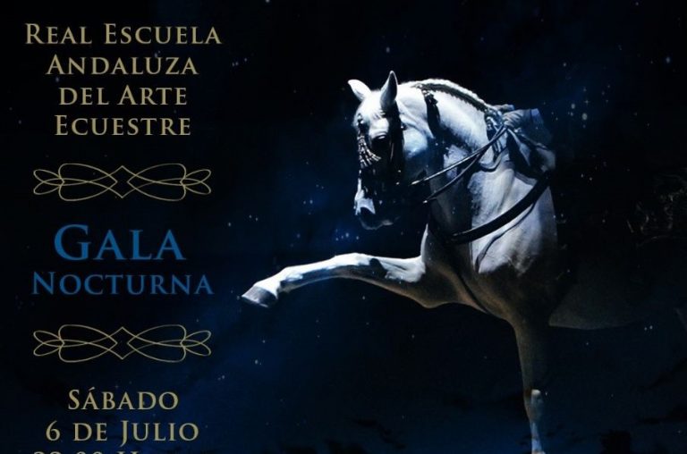 Cartel gala nocturna