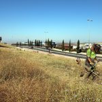 Jerez TV 2024 Desbroce_en_Avenida_Reina_Sofia_2