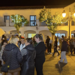 Captura de pantalla 2024-12-20 a las 11.12.56