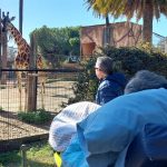 Jerez TV Paciente Hospital de Jerez 2025