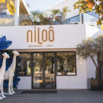 Jerez TV Niloo avenida alvaro domecq