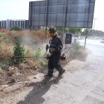 Jerez TV Desbrozado_Fco Rivas_2