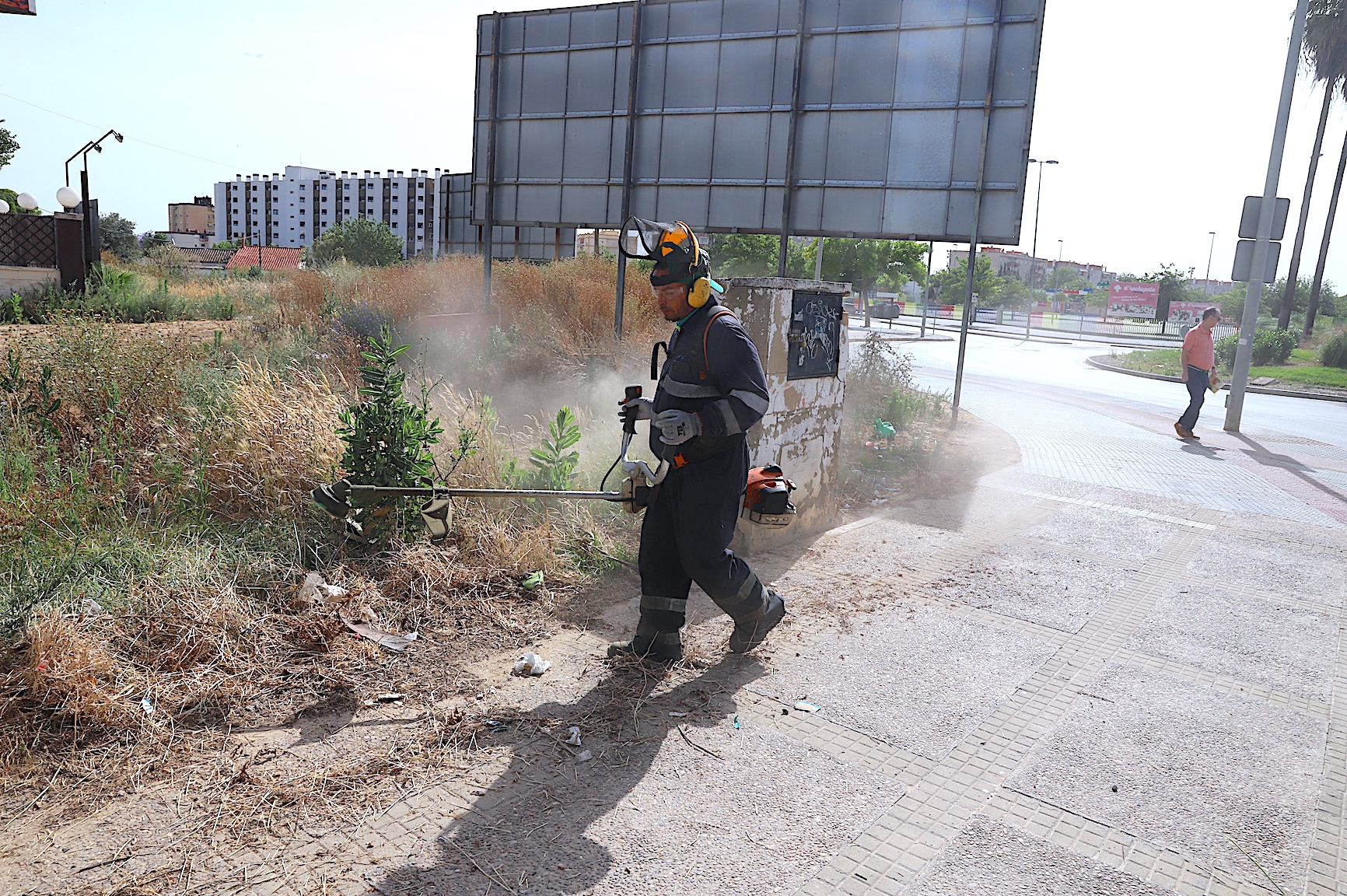 Jerez TV Desbrozado_Fco Rivas_2