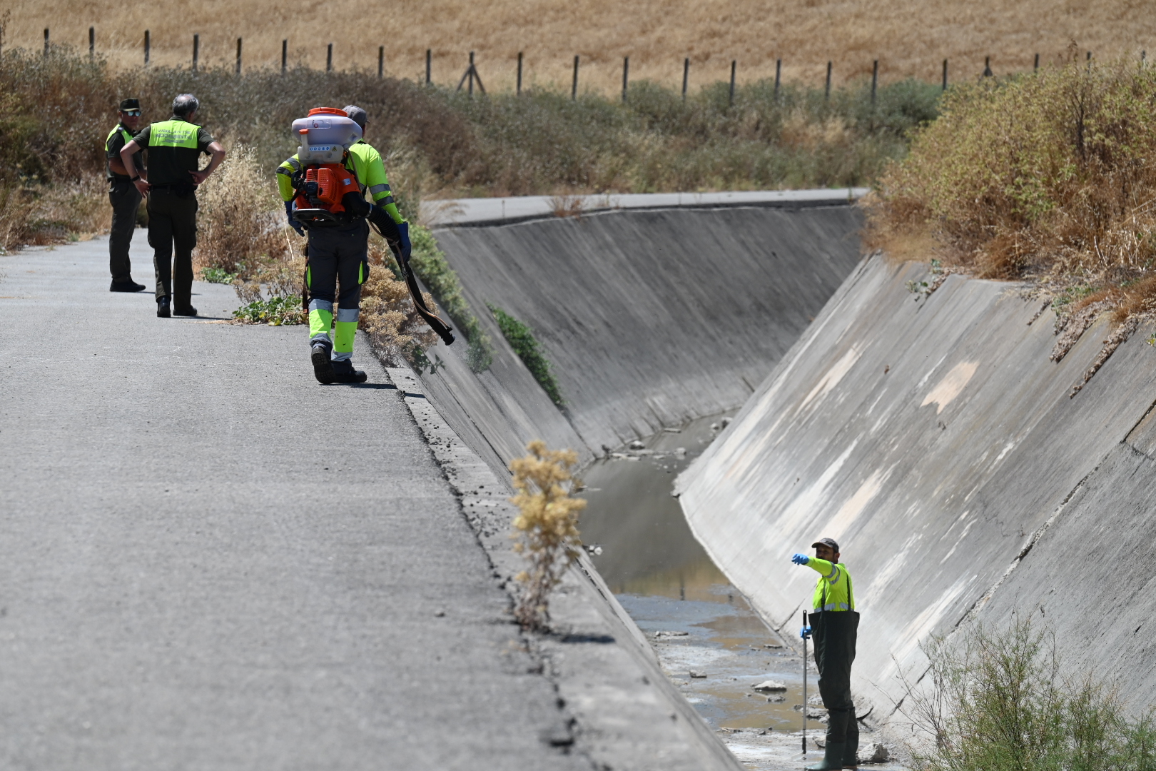 Jerez TV Limpieza_Laguna_de_Torrox_6jpg