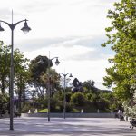 Jerez TV Plaza del Caballo 2025