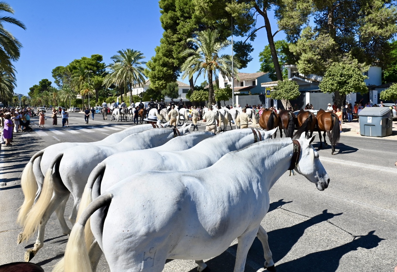 JerezTV Alcaldesa_-_Parada_Hipica_9