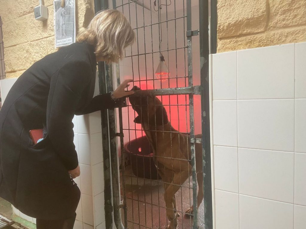 JEREZ TELEVISION Perrera cuidados