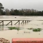 JEREZ TELEVISION Temporal Kristin Rio Guadalete desbordad2