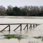 JEREZ TELEVISION Temporal Kristin Rio Guadalete desbordado