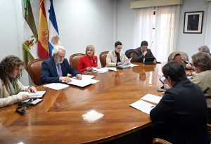 JEREZ TV Junta de Gobierno local 2026