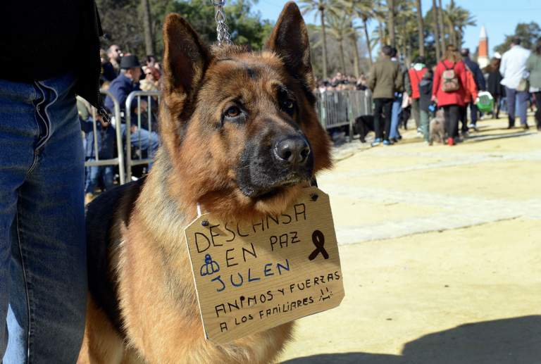 Captura de pantalla 2020-01-17 a las 21.41.14