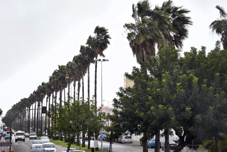 Captura de pantalla 2020-03-18 a las 16.19.23