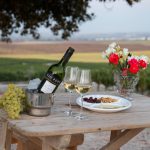 JerezTV. Noche_de_vendimia_Tio_Pepe_3