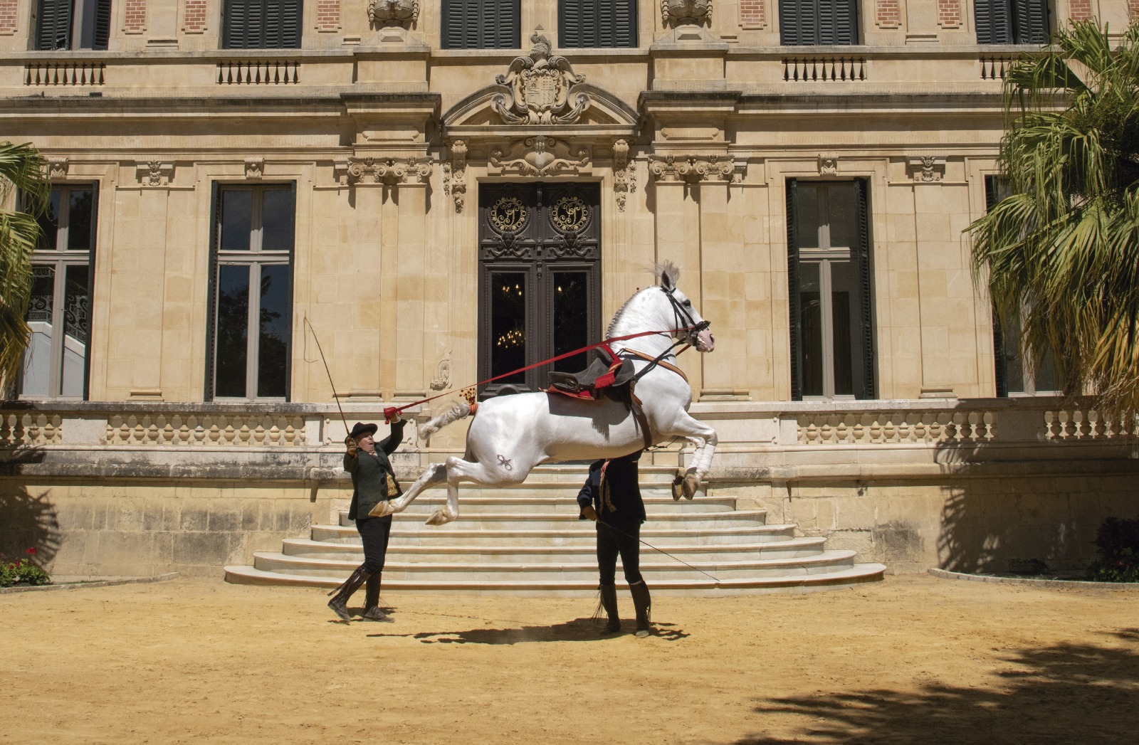 Andalucía Despierta Cádiz