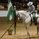 Captura de pantalla 2020-10-15 a las 20.53.51