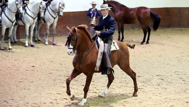 Captura de pantalla 2020-12-18 a las 14.42.42