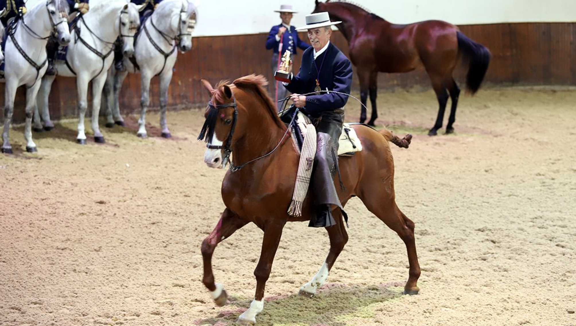 Captura de pantalla 2020-12-18 a las 14.42.42