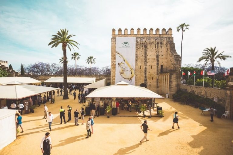 Jerez TV Vinoble Alcázar