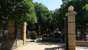 Jerez TV Cartel La Rosaleda