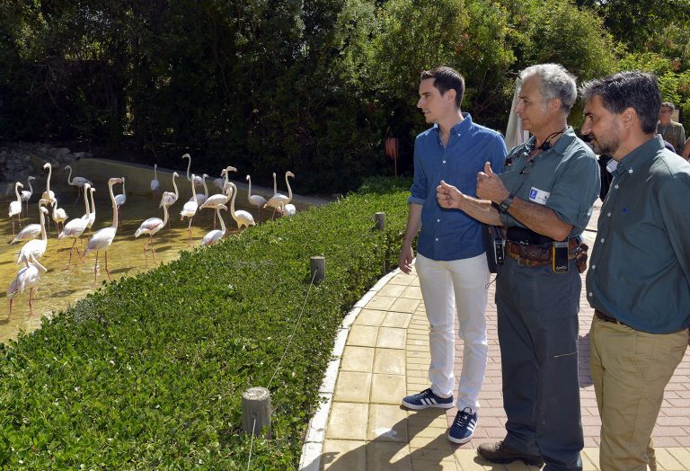 Jerez TV Jaime Espinar Flamencos Zoobotanico