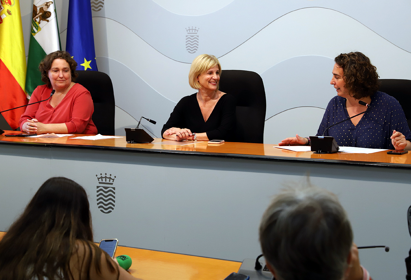 Jerez TV Junta accesos a Jerez