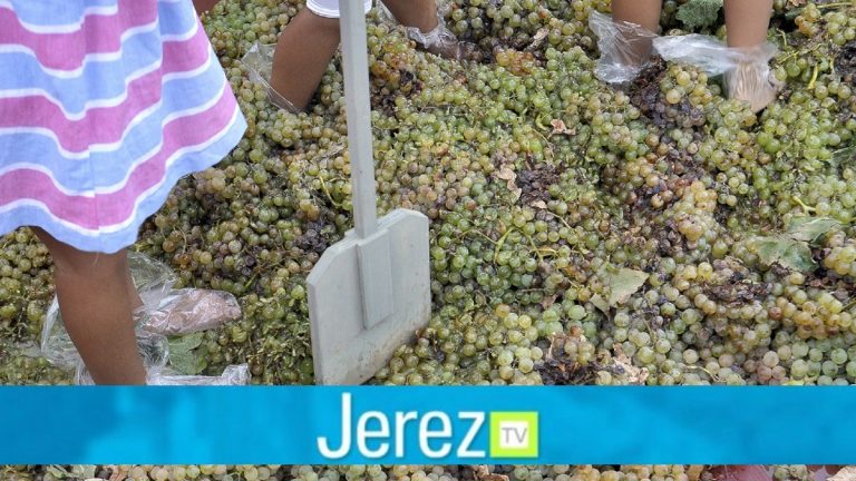Jerez TV pisa de la uva infantil
