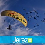 Jerez TV ibis eremitas zoo pajaros