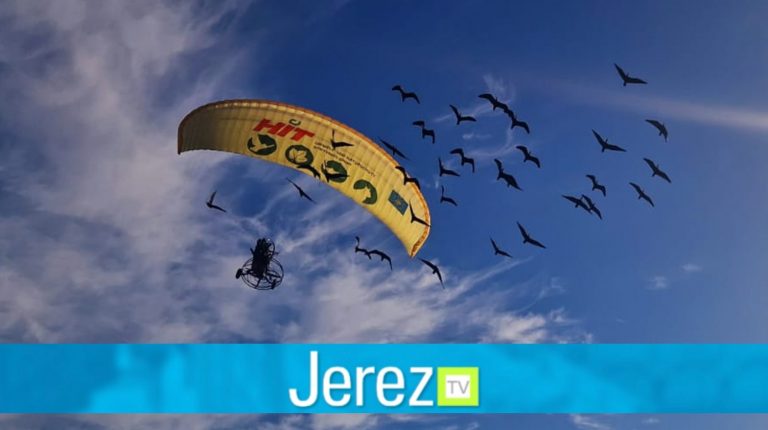 Jerez TV ibis eremitas zoo pajaros