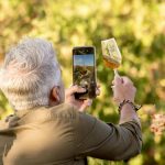 JerezTV ruta del vino y del brandy de jerez 2023