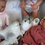 Jerez TV bebe reborn