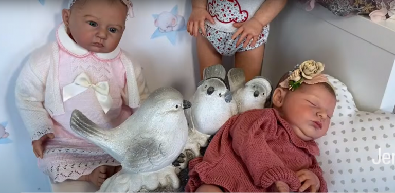 Jerez TV bebe reborn