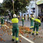 Jerez TV recogida_naranjas_Larga