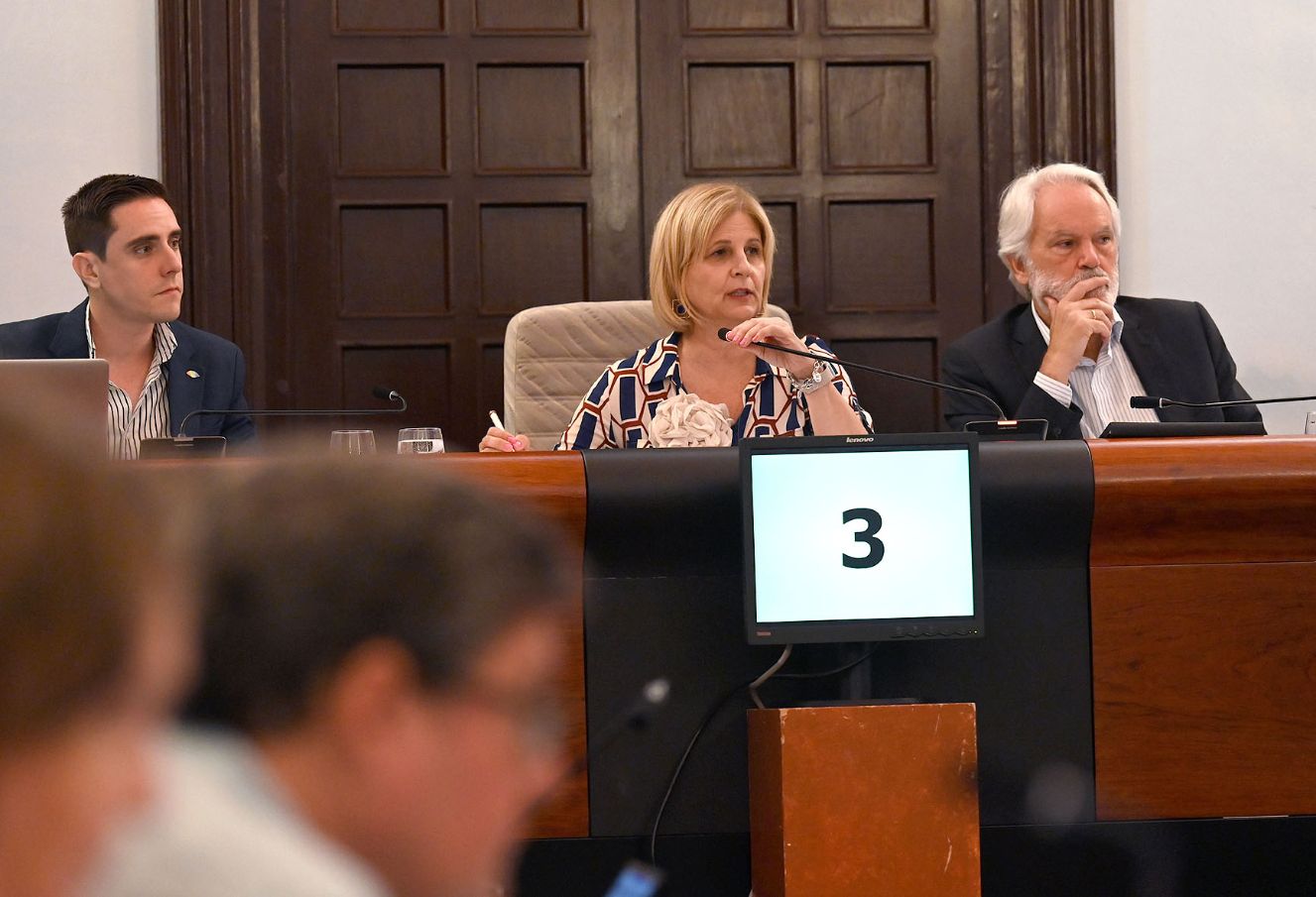 Jerez TV Alcaldesa _ Pleno _ 10