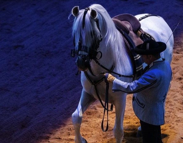 Cartel Quique Maqueda