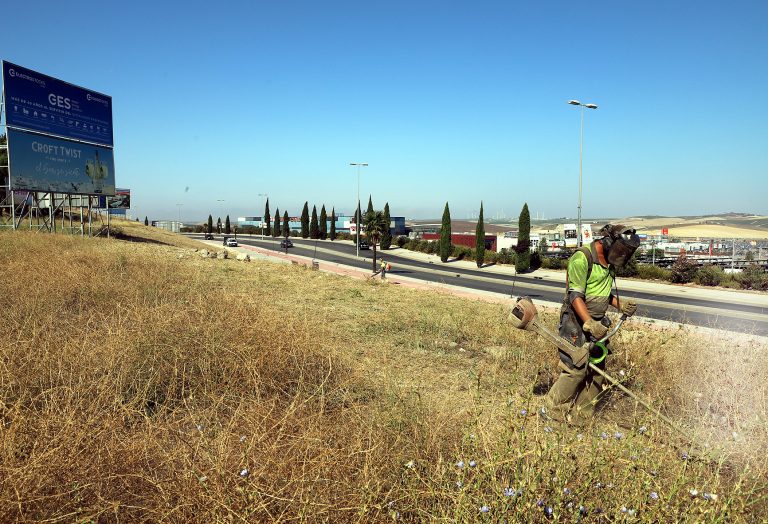 Jerez TV 2024 Desbroce_en_Avenida_Reina_Sofia_2