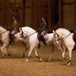 Jerez TV Academia de Versalles