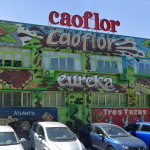 Jerez TV Borras CACAO Jerez Pinto