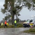 Jerez-TV-2025-Temporal-Dana-Jana