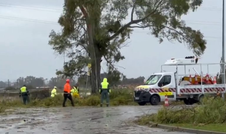 Jerez-TV-2025-Temporal-Dana-Jana