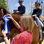 Jerez TV Alcaldesa-Premio_Caballistas_4_jpg