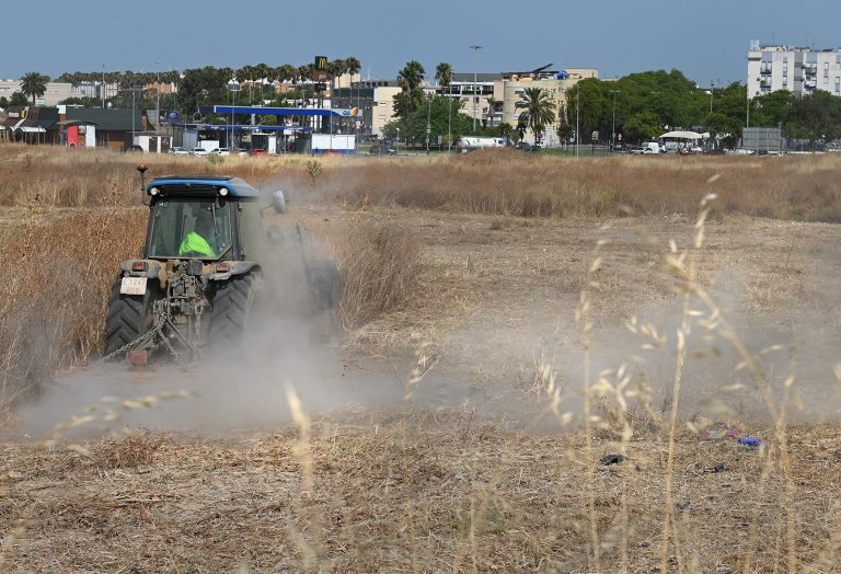 Jerez TV Desbroce___Bda_Mopu___03