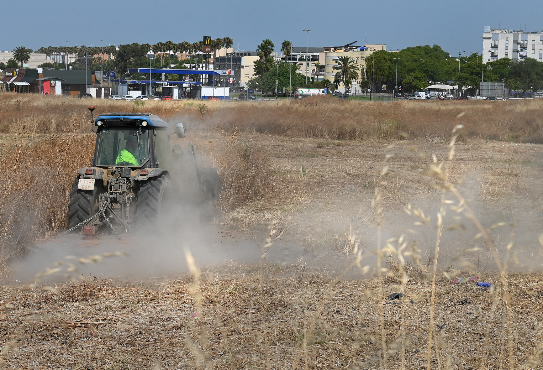 Jerez TV Desbroce___Bda_Mopu___03