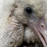 Captura de pantalla 2025-08-17 a las 12.16.56