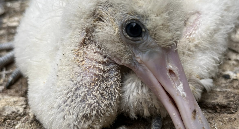 Captura de pantalla 2025-08-17 a las 12.16.56