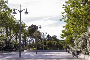 Jerez TV Plaza del Caballo 2025