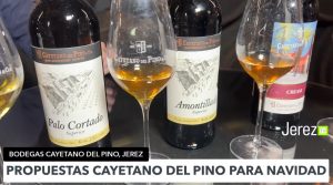 JEREZ TELEVISION Cayetano del Pino recomendación Navidad