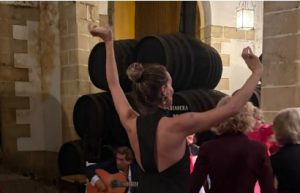 JEREZ TV ALEJANDRA ORTIZ