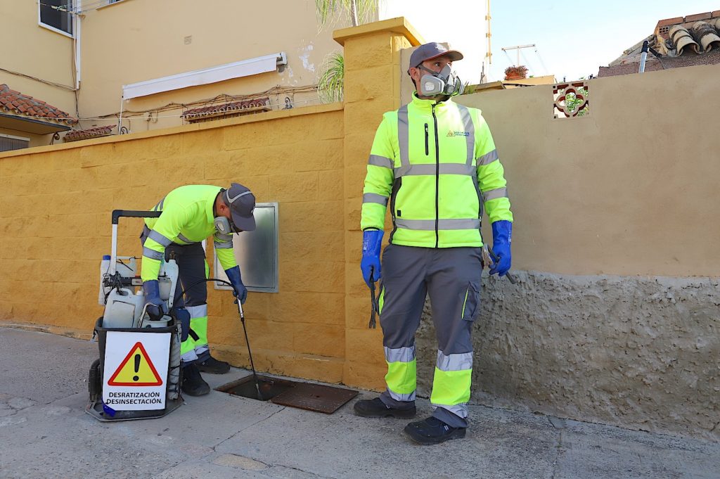 JEREZ TELEVISION Desratización Jerez 2026