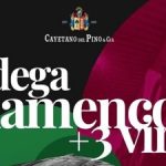 JEREZ TELEVISION Cayetano del Pino vino y flamenco 2026 portada